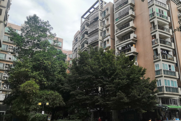武汉梅苑小区